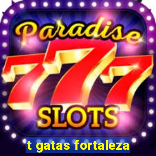 t gatas fortaleza